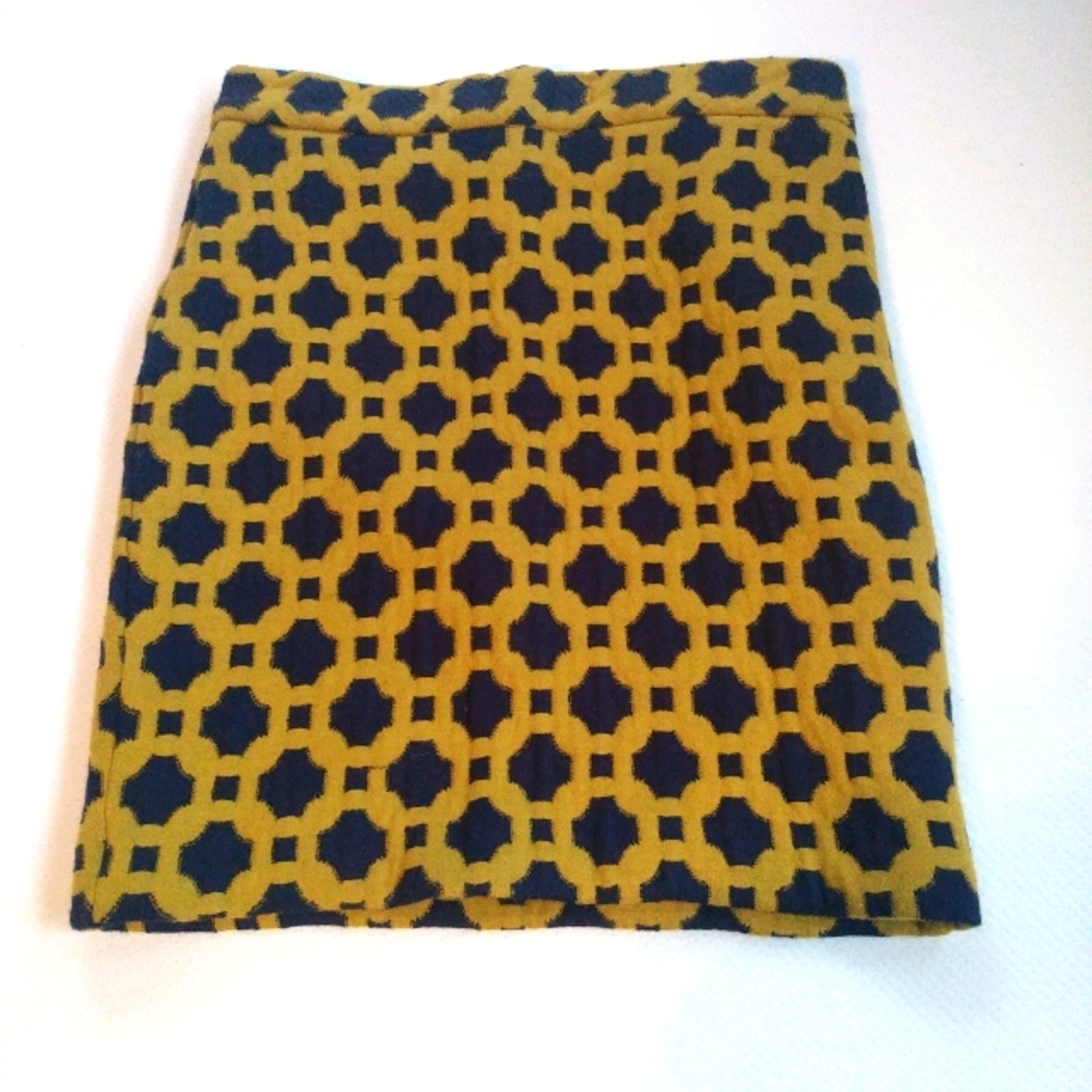 Professional and Sexy Style Skirt